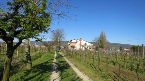 Agroturismo Agriturismo L'albara
