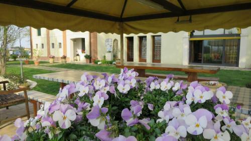 Agroturismo Agriturismo L'albara