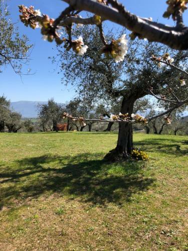 B&B Villa Chiara Relax