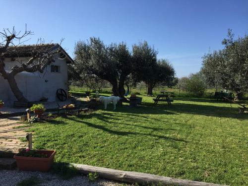 Bed & Breakfast C'era UNA Volta Podere San Giovanni