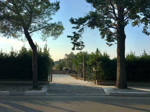 Bed & Breakfast C'era UNA Volta Podere San Giovanni