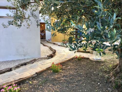 Bed & Breakfast C'era UNA Volta Podere San Giovanni
