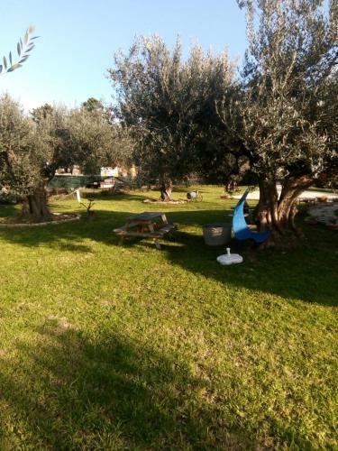 Bed & Breakfast C'era UNA Volta Podere San Giovanni