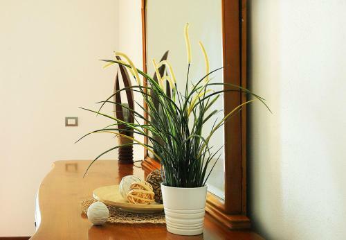 Apartamento Yourbanflat S. Carlo