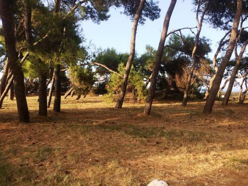 Holiday Home In Picciano With Swimming Pool
