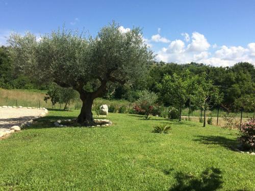 Holiday Home In Picciano With Swimming Pool