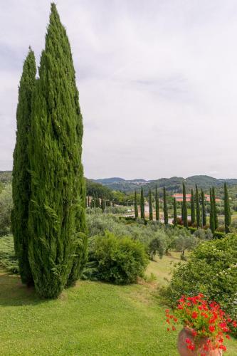 Villa Ligustro