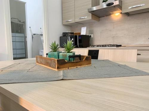 Apartamento Nuova 27