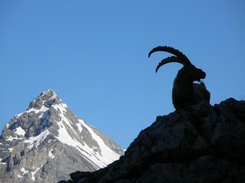 Hotel Rifugio Forni