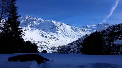 Hotel Rifugio Forni