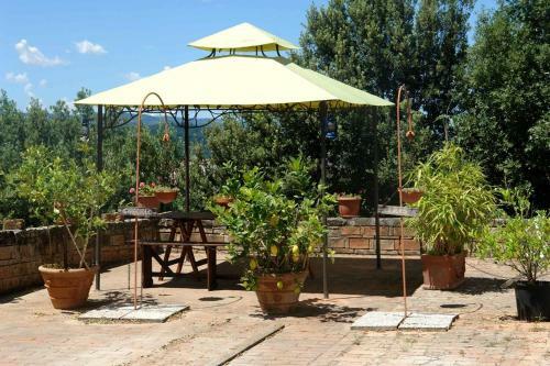Chianti Holiday Homes