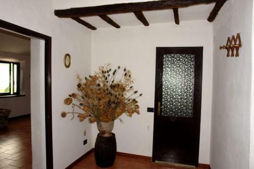 Chianti Holiday Homes