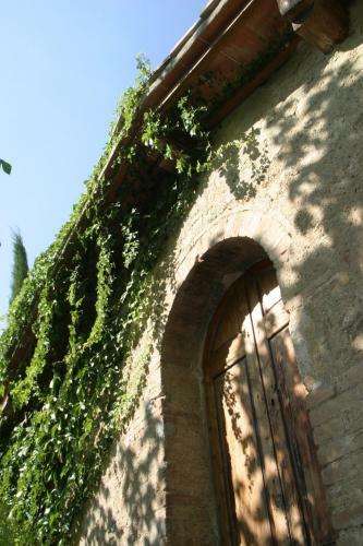 Chianti Holiday Homes