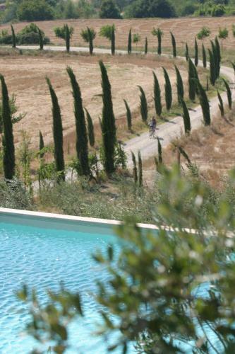 Chianti Holiday Homes