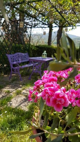 Apartamento Agriturismo Il Catrino