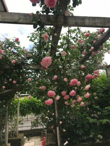 Apartamento Marie Antoinette