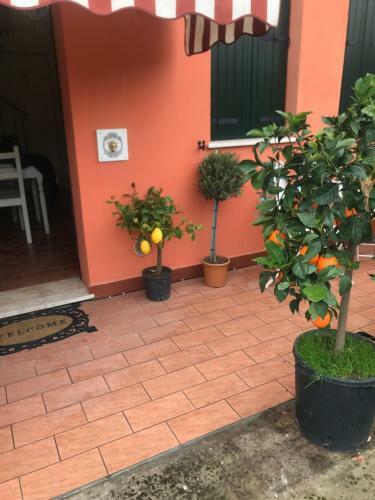 Apartamento Marie Antoinette