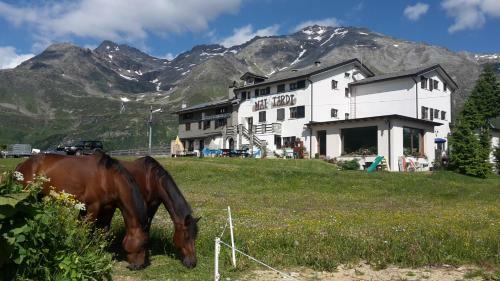 Hotel Rifugio "mai Tardi"