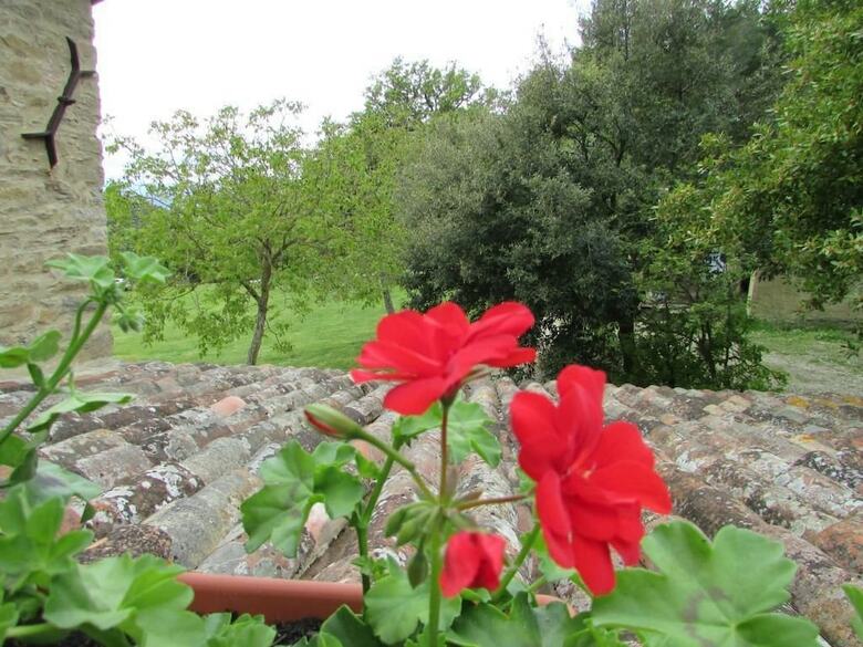 Bed & Breakfast Le Querce Di Campolungo