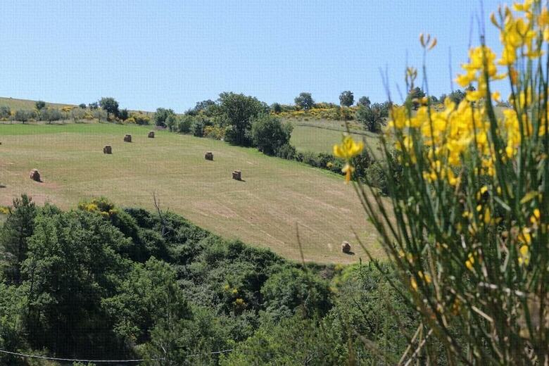 Bed & Breakfast Le Querce Di Campolungo