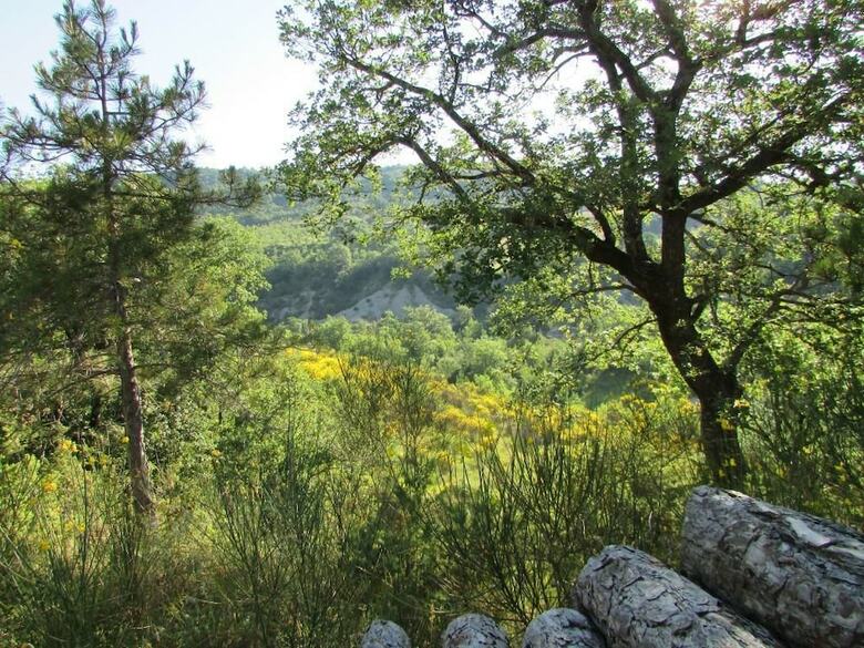 Bed & Breakfast Le Querce Di Campolungo