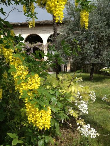 Bed & Breakfast Antica Scuderia