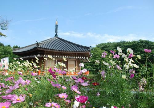 Hotel The Kashihara