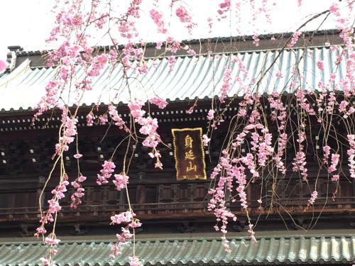 Tanakaya Ryokan