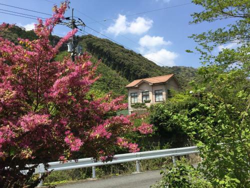 Hostal Yamaguchi Koukasha