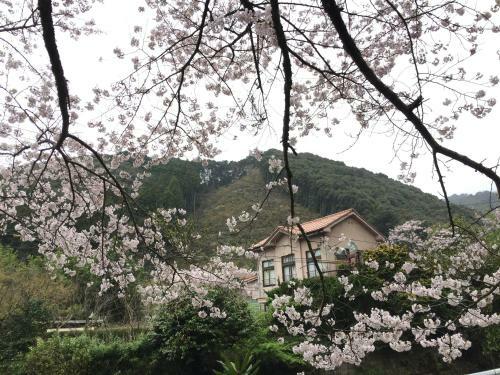 Hostal Yamaguchi Koukasha