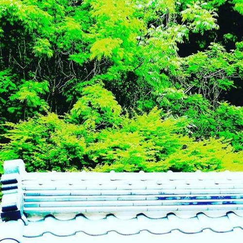 Hostal Guesthouse Soufusha -formerly Chaya