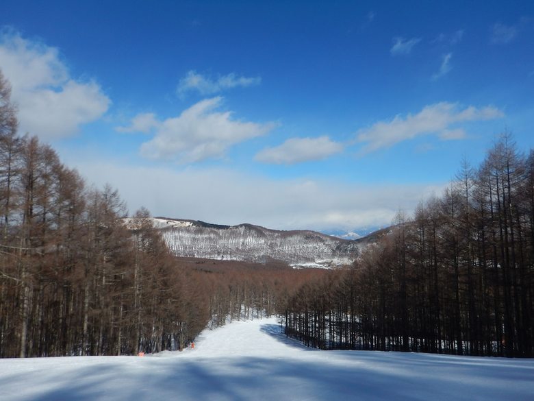 Lodge Resort Garni Coru
