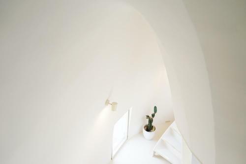 Apartamentos Natural Ellipse