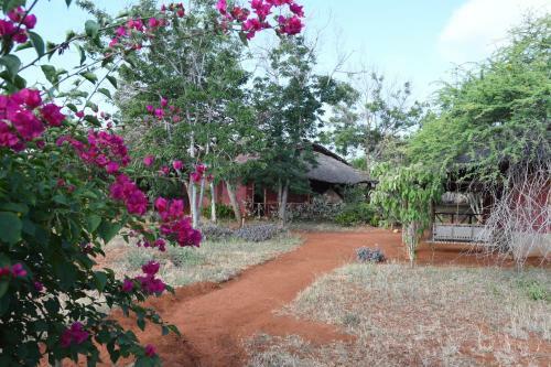 Sagala Lodge