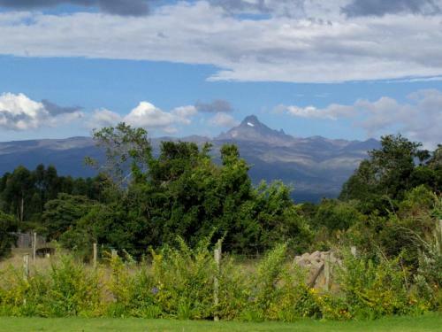 The Nelion Hotel