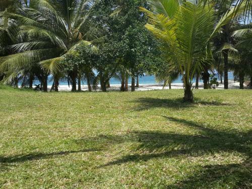Villa Shamba La Salama