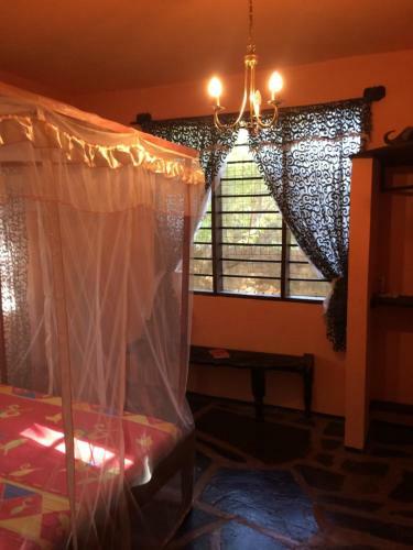 Hostal Villa Bahati Oasis Sun Dream