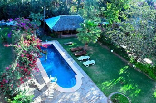 Hotel Naivasha Treehouse
