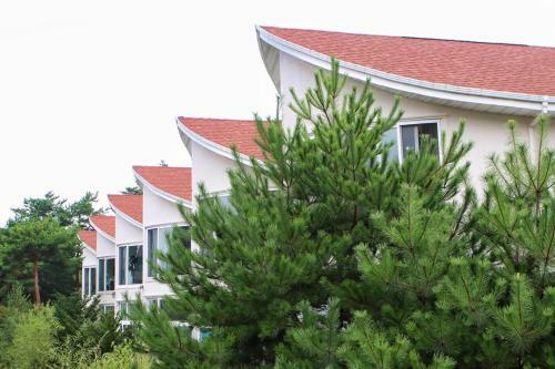 Hotel Club Castle Resort