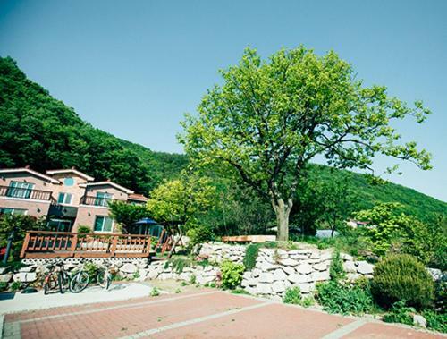 Utopia Pension