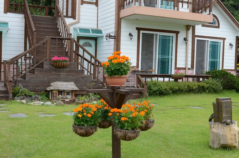 Forest Of Color Pension