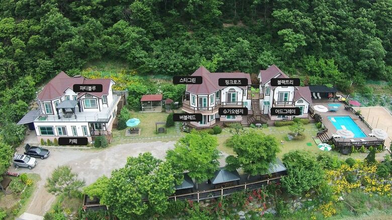 Forest Of Color Pension