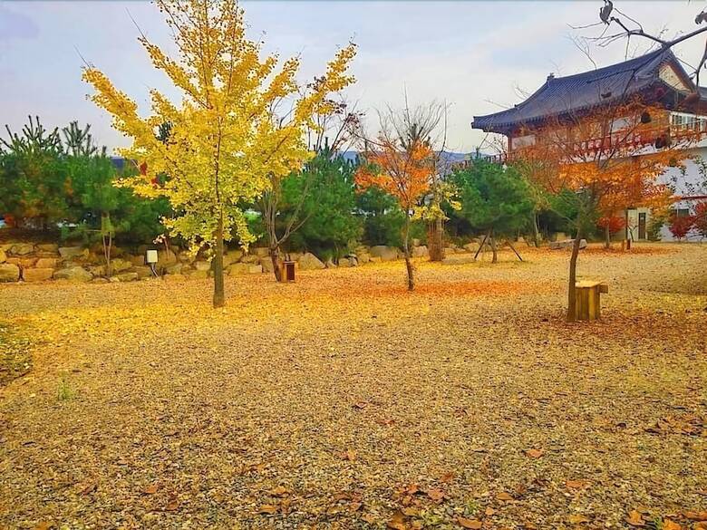 Hostal Chowoo Guesthouse