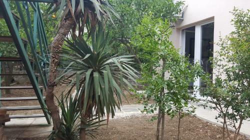 Garden Apartmant Near Sea *new