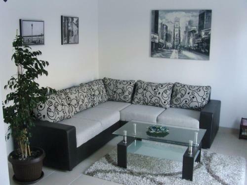 Nn Franovic Apartments