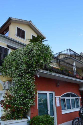 Apartments Qualitas