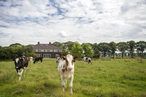 Bed & Breakfast Villa Het Bascour