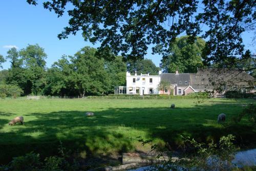 Hotel de Jufferen Lunsingh