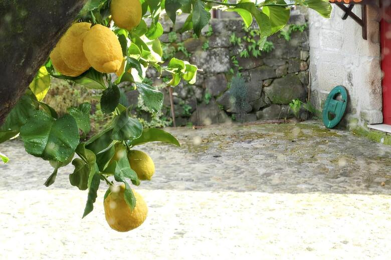 Holiday Home Fataun�os