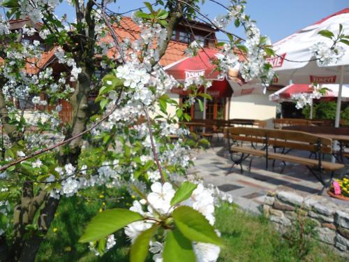 Hostal Go?ciniec Gryszczeni�wka
